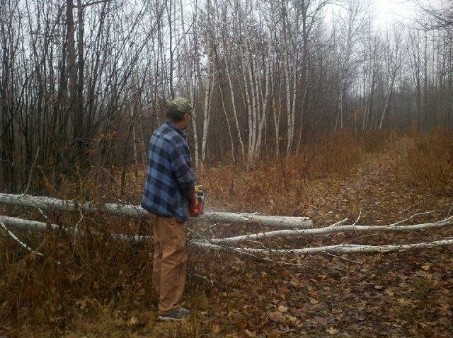 PaulSawing