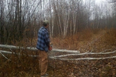 PaulSawing