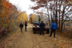 treesawing