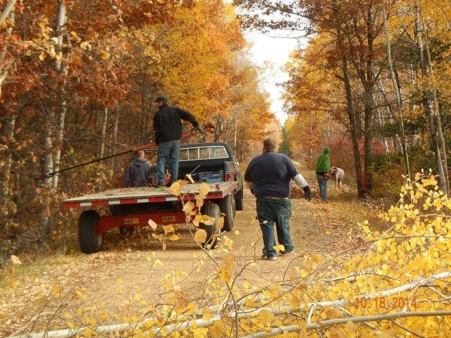 treesawingfall